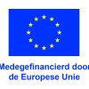 NL-V-Medegefinancierd-door-de-Europese-Unie_POS